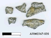 藏品(日本新小判)的圖片